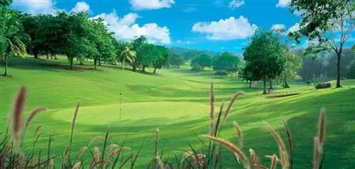 Круиз на поле для гольфа