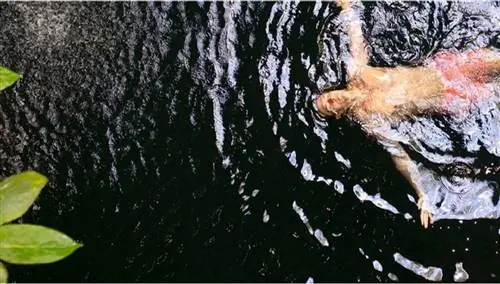 Приключения ждут в отеле Xcaret Arte