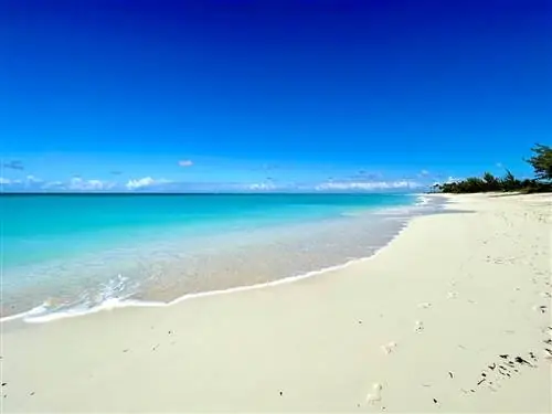 Ограничения на поездки в Карибский бассейн: ознакомьтесь с протоколами безопасности Теркс и Кайкос