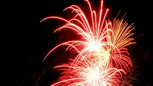 Летние праздники возвращаются в SeaWorld Орландо & Aquatica