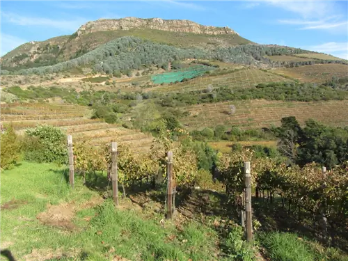 Добавьте эти 4 региона Южной Африки в свой маршрут