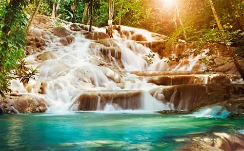 Путеводитель по Ямайке для новичков