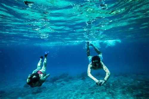 Все способы сэкономить в Xcaret