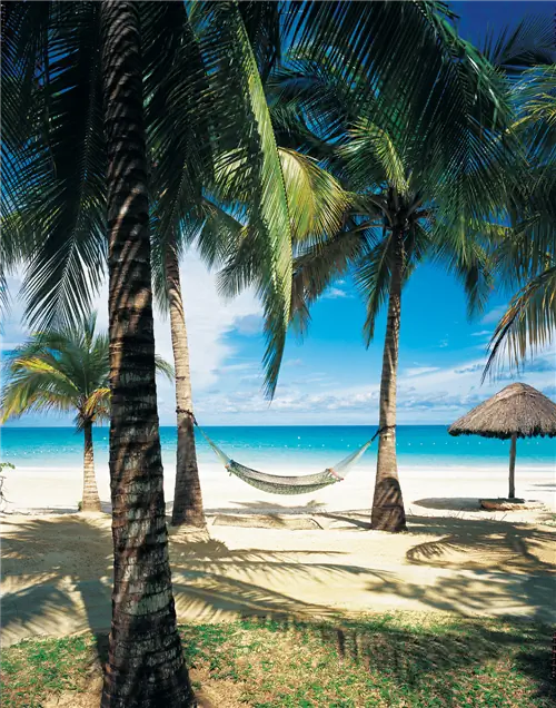 Как детский месяц превратился в идеальный частный ужин