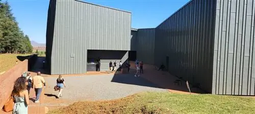 Африканское пробуждение