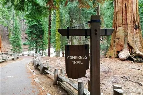 Три веселых семейных похода в национальном парке Секвойя