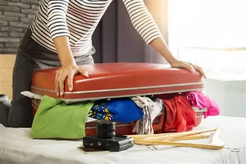 Агент агенту: советы, подсказки и хитрости для облегчения путешествий