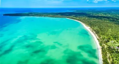 Откройте для себя Миша