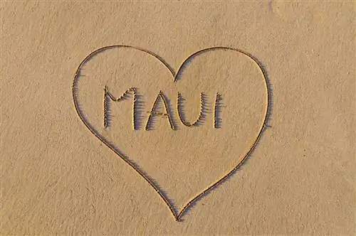 Лесные пожары на острове Мауи вызывают у нас чувство тоски