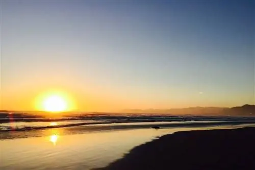 Открытое шоссе 1: как спланировать незабываемое семейное путешествие по Калифорнии