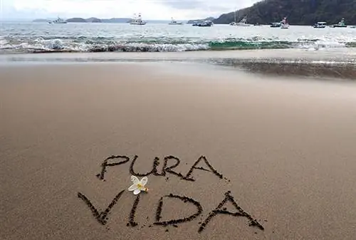 Пура Вида о жизни Тихоокеанского побережья