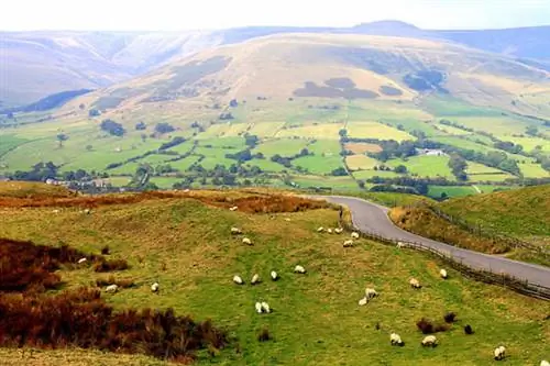 пиковый район