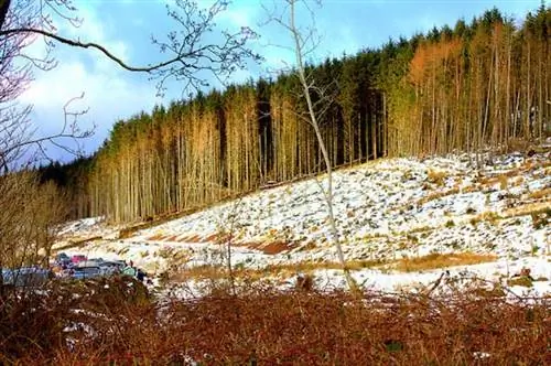 бреконские маяки