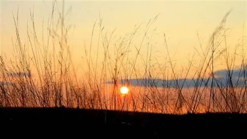 4 британских национальных парка, которые вы должны увидеть