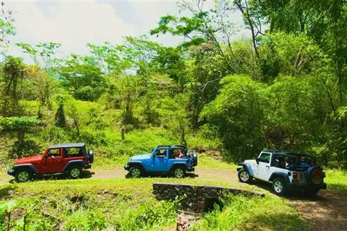 Островные маршруты: Инсайдерские секреты: приключения в глуши