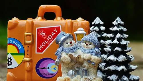 Агент агенту: Когда мне следует бронировать поездку в отпуск?