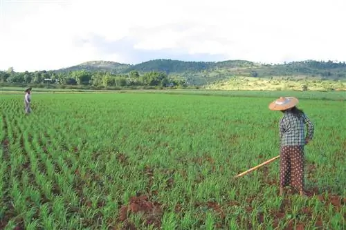 Это Бирма или Мьянма?