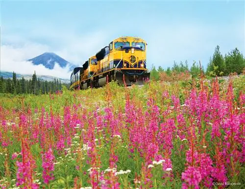 Почему вам следует посетить национальный парк Денали