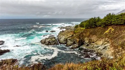 Спланируйте идеальное воссоединение семьи на центральном побережье