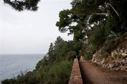 дубровник хорватия парк