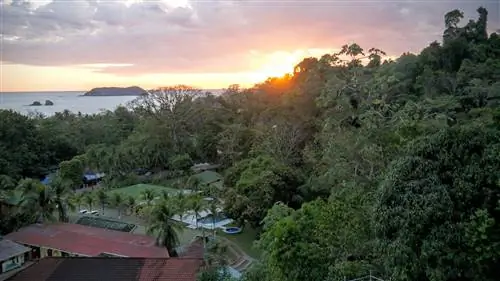 Погрузитесь в чистоту природы Коста-Рики