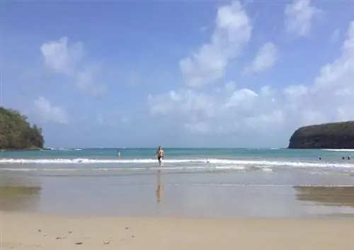 Ла Сажесс Гренада