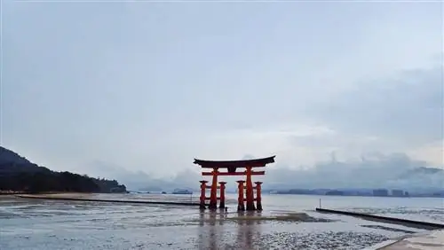 Мини-путеводитель по волшебному Оленьему острову Японии