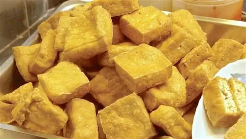 6 уникальных продуктов, которые стоит попробовать во всем мире