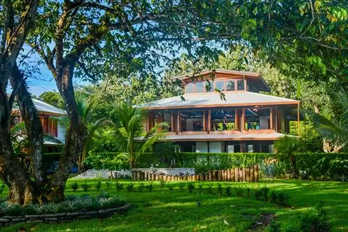 ДСК_1238