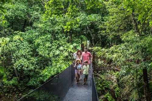 Советы для наблюдения за птицами на Ривьере Сандоса Майя