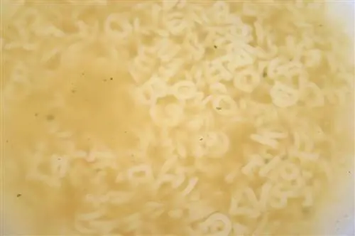 Агент агенту: перевариваем алфавитный суп