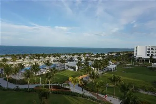 Безграничное развлечение на Коста-Мухерес