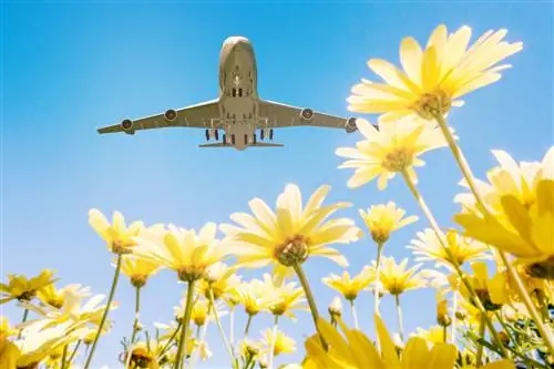 Как туристическая индустрия пришла на помощь