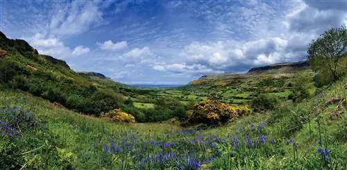 Какой у тебя знак?