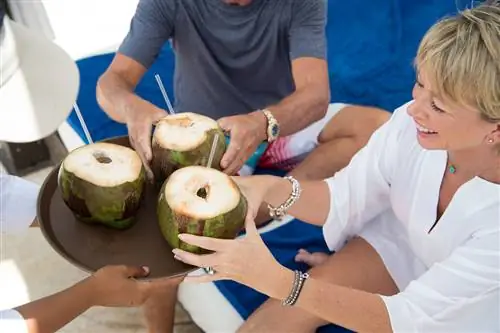 В отеле Marigot Bay Resort and Marina By Capella есть десять удивительных развлечений