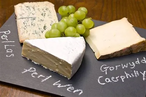 Насладитесь Южным Уэльсом: регионом со звездами Мишлен, уютными гостиницами и элегантными столами