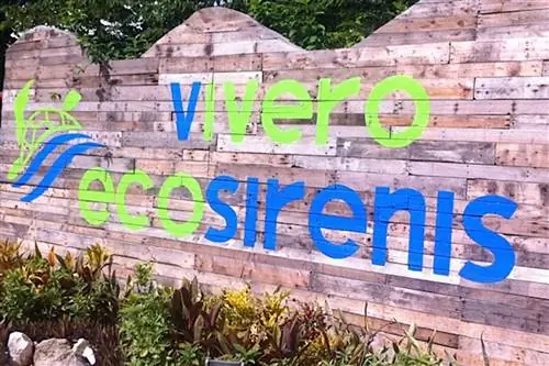 Экологическая устойчивость в Sirenis
