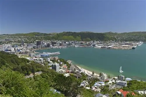 6 лучших развлечений в Веллингтоне, Новая Зеландия