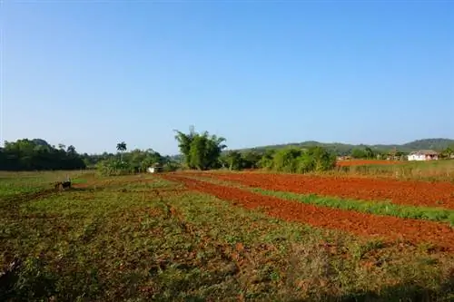 Поход в Виньялес Куба