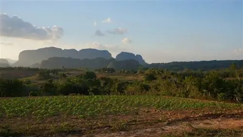 Мини-путеводитель по Виньялесу, Куба