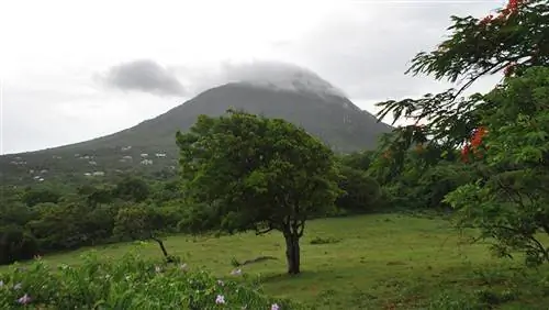 Нет места лучше Невиса