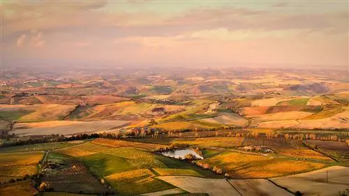 Агент агенту: наберитесь опыта