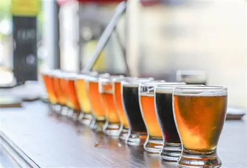 Пробуем лучшие сорта пива в Лос-Кабосе