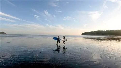 Панама у моря: дайвинг, сноркелинг, серфинг и многое другое