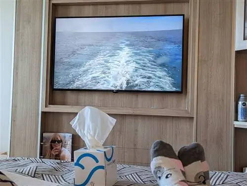 Уроки, извлеченные из ухабистого путешествия