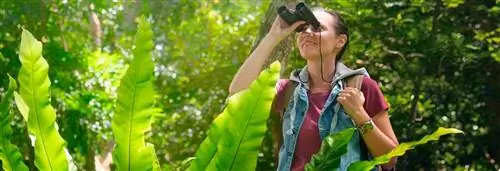 Испытайте лучшие экологические приключения, которые может предложить Пуэрто-Вальярта