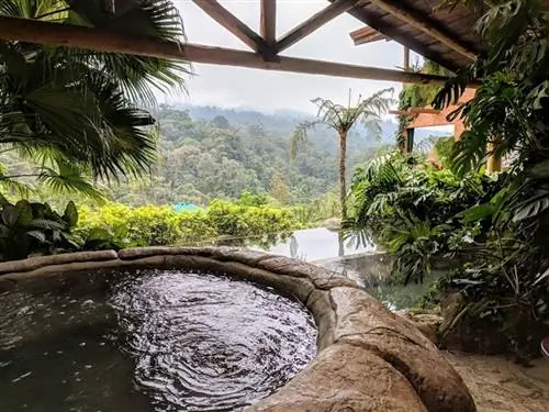 Витаю в облаках