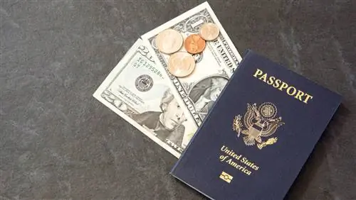 7 советов организаторам путешествий, как сэкономить на зимнем отдыхе