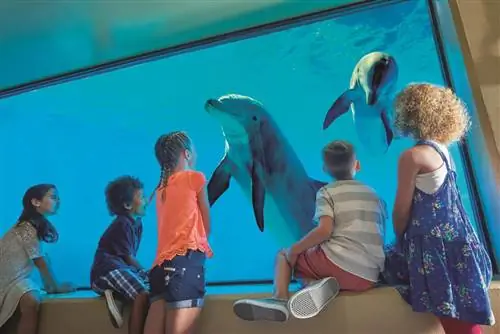 Лучшие отели для семейного отдыха