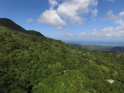 Эль Юнке, Пуэрто-Рико